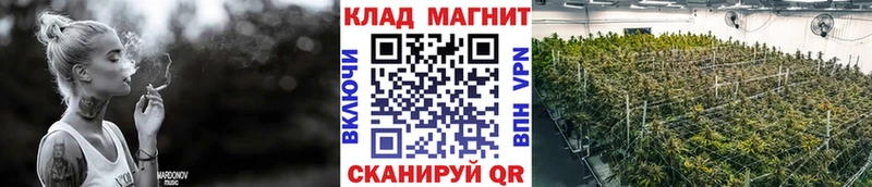 Где можно купить наркотики Щучье ГАШИШ COCAIN Меф А ПВП Конопля