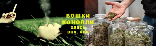 тгк Богородск