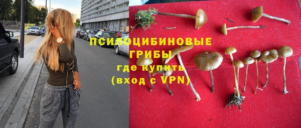 тгк Богородск