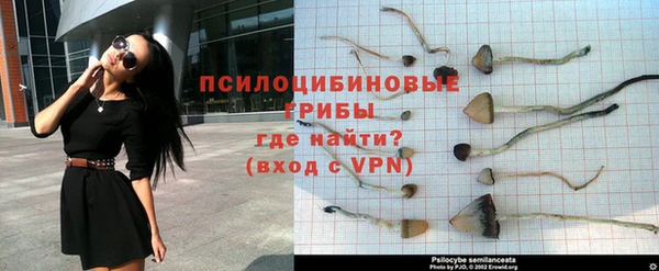 а пвп мука Богородицк