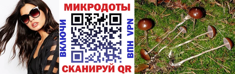 Галлюциногенные грибы GOLDEN TEACHER Щучье